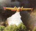 canadair.jpg