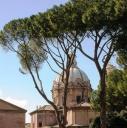 alberiroma.jpg