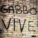 gabbo1.jpg