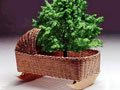 albero.jpg