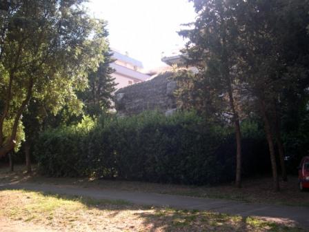 Tomba dei Veienti oggi