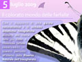visita-farfalle.jpg