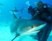 claudia4.jpg