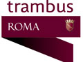 trambus.jpg