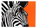 zebra.jpg