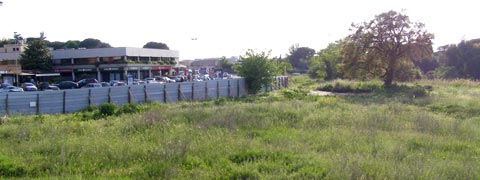 pianta-c.jpg