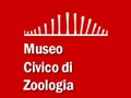 museozoo.jpg