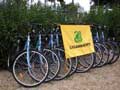bici-legambiente.jpg
