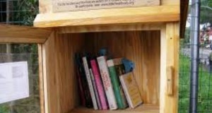 free little library vigna clara