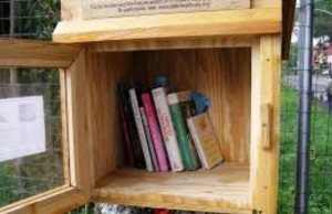 free little library vigna clara