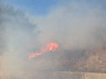Incendi a Roma Nord