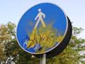 ciclabile-ponte-milvio.jpg