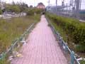 stazione-cesano.jpg