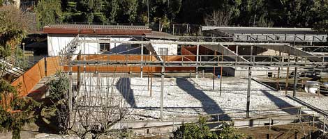 liceo2.jpg