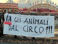 nocirco1.jpg
