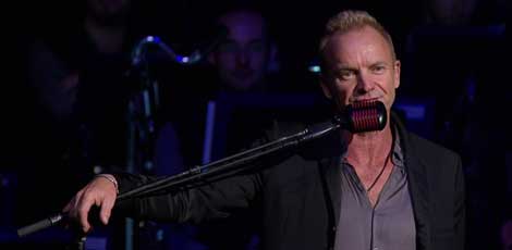 sting2.jpg