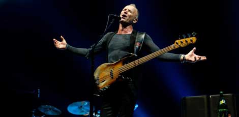 sting4705.jpg