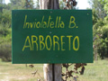 arboreto-involatella.jpg