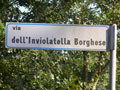 inviolatella-borghese.jpg