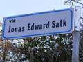 via-salk120.jpg