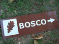 bosco.jpg