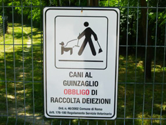 deiezioni.jpg