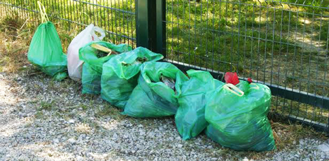 deiezioni470.jpg