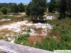 via del baiardo 2014 1