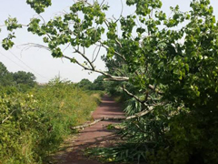 pista240.jpg
