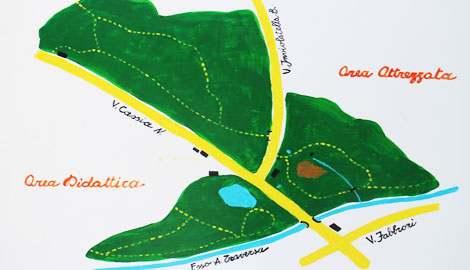 area1.jpg