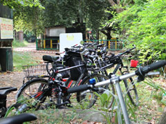 bici.jpg