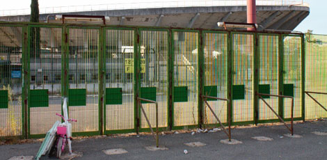 flaminio1.jpg