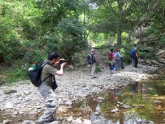 camminare240.jpg