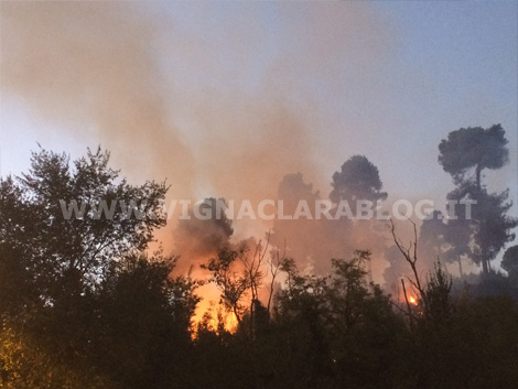 Incendio Farnesina