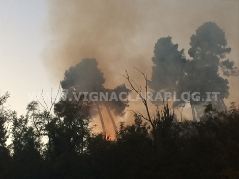 Incendio Farnesina