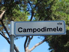 viacampodimele.jpg