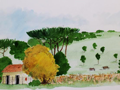 acquarello240.jpg