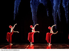 momix240.jpg