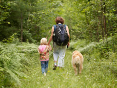 passeggiata-bosco.jpg
