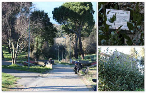 collage-veienti1.jpg