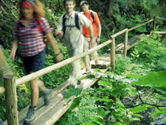 passeggiate240.jpg