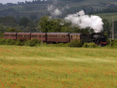 treno-veio-240.jpg