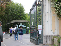 orto240.jpg