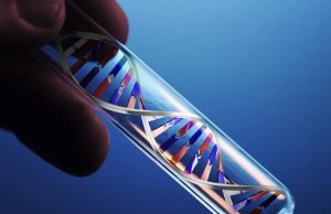 test dna