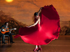 flamenco240.jpg