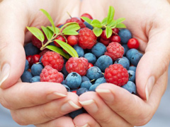 frutti240.jpg