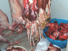 Macellazione abusiva
