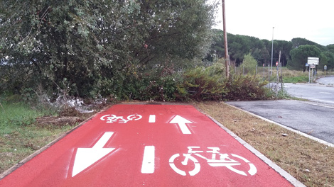 cicla1.jpg