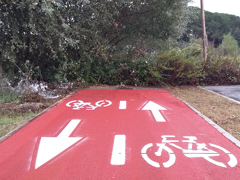 cicla240.jpg