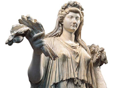 livia240.jpg